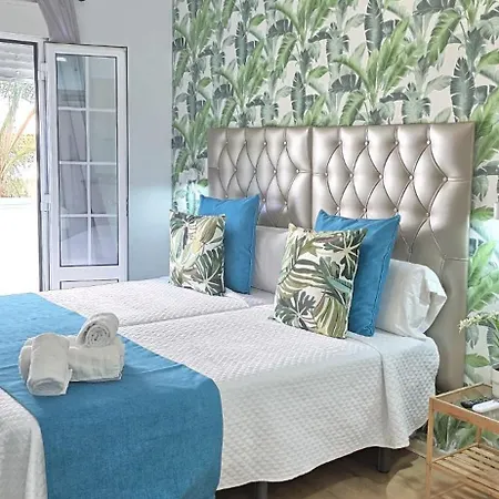 Candisol Cozy